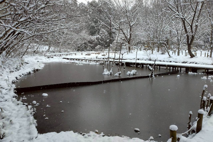 �V�_�̗���i�F